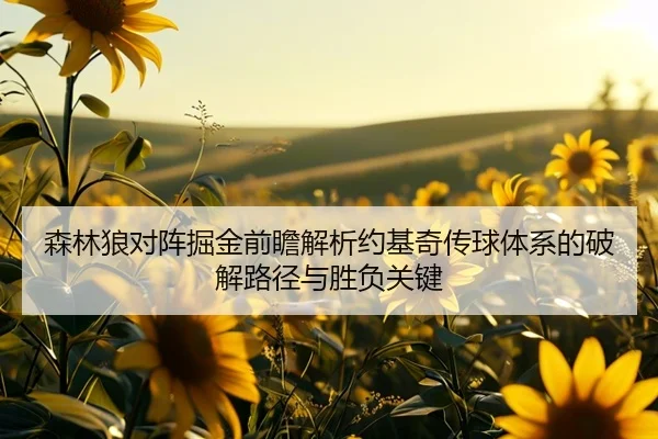 森林狼对阵掘金前瞻解析约基奇传球体系的破解路径与胜负关键